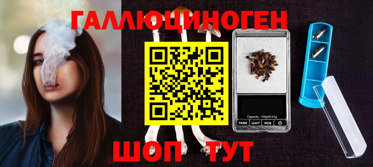 Галлюциногенные грибы Psilocybine cubensis  где найти   Вход с VPN  Гусиноозёрск  Галлюциногенные грибы Psilocybe 